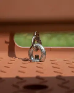 Hondenoog Dolly V1 of Dolly Joy