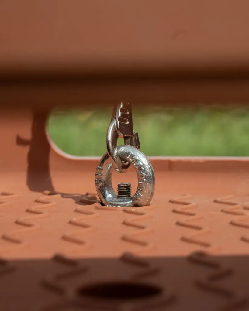 Hondenoog Dolly V1 of Dolly Joy